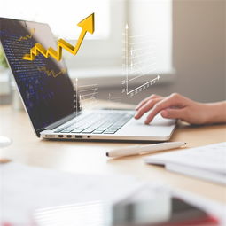 宝安高新技术企业服务指南 详解验资报告的办理流程与要点